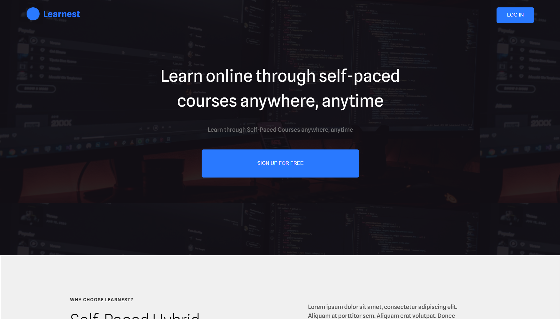 portfolio